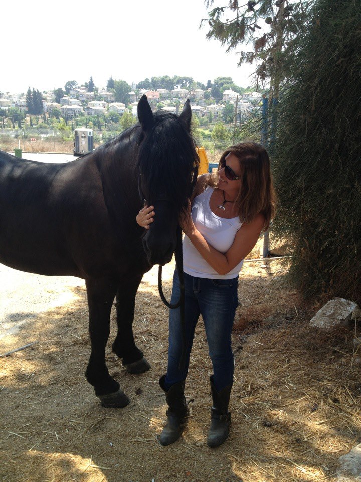 policehorse