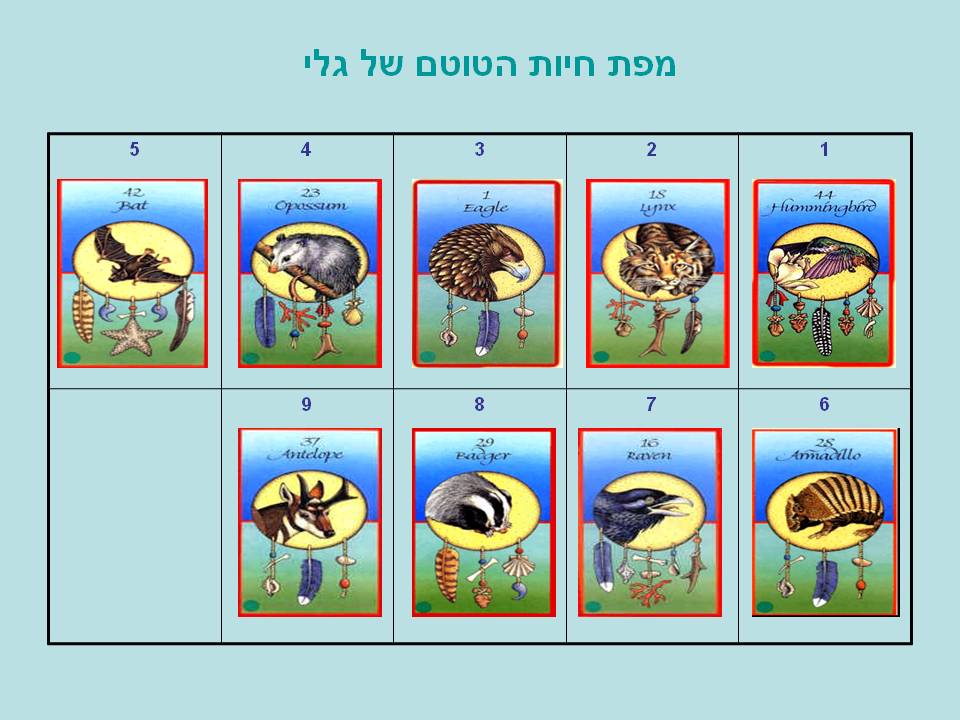 שקופית1